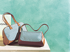 wisch.jpg (64610 Byte)